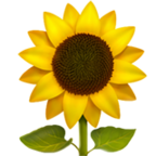 sunflower_1f33b.png